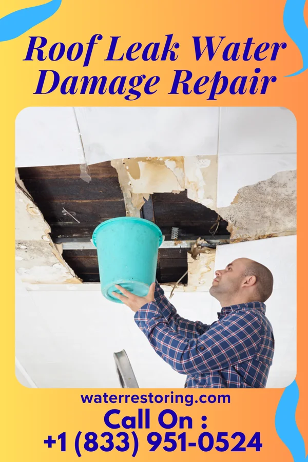 Roof Leak Water Damage Repair in Midvale, UT